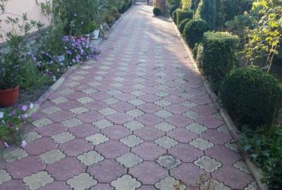 Casa de vanzare in ciuperceni Stramba Vulcan Gorj - 4