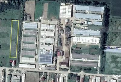 Teren de 4000 mp, în Careiului - 1