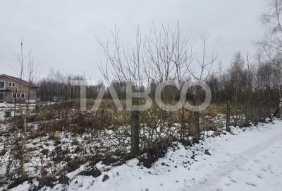 COMISION 0 Teren 1934mp langa Brambura Park pe Valea Avrigului - 3