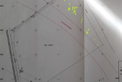 Teren Construcții intravilan de 16635 mp, în Nord-Est - 2
