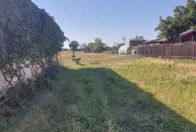 Casă cu 4 camere cu Teren 3516 Mp în Cojasca - 8