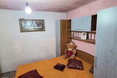 Casă individuală cu 3 camere cu Canalizare în Alexandriei - 10