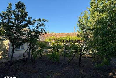 Casă cu 6 camere nedecomandat cu Teren 1600 Mp în Greci - 9