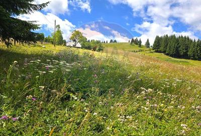 Teren de vis in Fundata 3868mp, la inal?imea sufletul... - 6