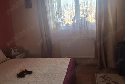 Casă cu 3 camere cu Teren 1326 Mp în Șagu - 8
