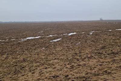 Teren Construcții intravilan de 2500 mp, în Malu Mare - 2