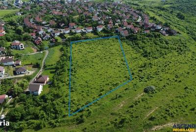 Spațiu comercial, în Livezeni - 3