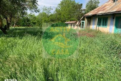 Teren de 5000 mp, în Trifești - 1
