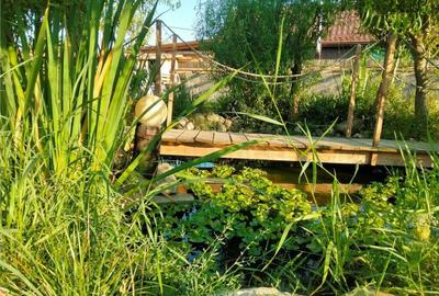 Casă cu 3 camere cu Piscina în Podu Oltului - 7