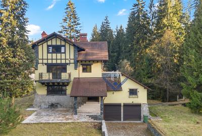 Casă individuală cu 6 camere cu Teren 3677 Mp în Timișu de Sus - 2