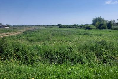 Teren Construcții intravilan de 12216 mp, în Vetiș - 3