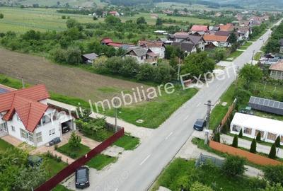 Teren 10.000 mp de vanzare in comuna Ciofrangeni, Judet Arge?. - 11