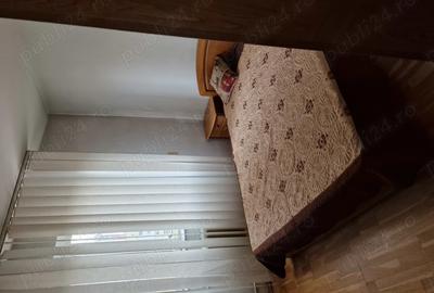 Vanzare Apartament Ultracentral-Visa - 3