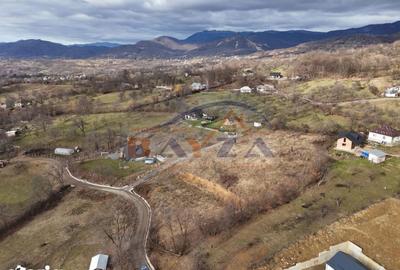 Teren de 5613 mp, în Șișești - 2