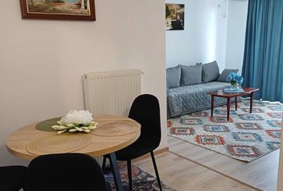 Inchiriere apartament 2 camere McDonald's stradal - 9
