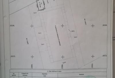 Casă cu 3 camere cu Teren 123 Mp în Central - 8