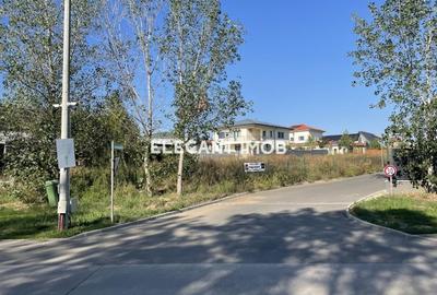 Teren intravilan de 684 mp, în Corbeanca - 2