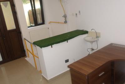 FLOREASCA, Ultracentral, spatiu in curte, la casa, - 3