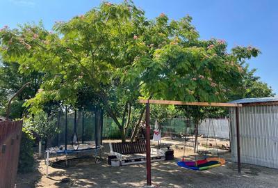 Casă cu 4 camere în Bucu - 1