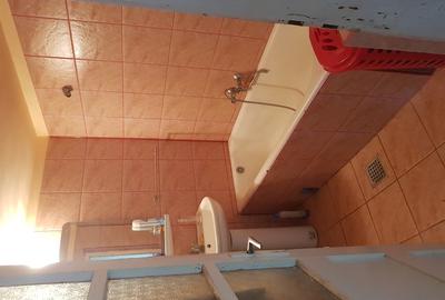 Casă cu 5 camere în Plugova - 3