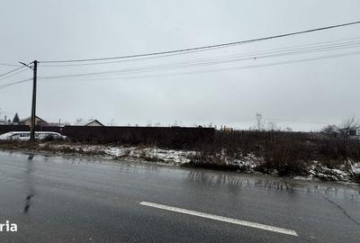 Teren de 22000 mp, în Letea Veche - 2