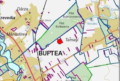 Spațiu comercial, în Buftea - 5