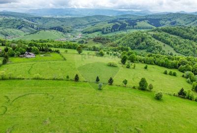 Teren de vanzare 5,755mp/ Sita Buzaului - 4