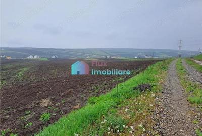 Teren intravilan 2391 mp in Sf. Ilie - 3