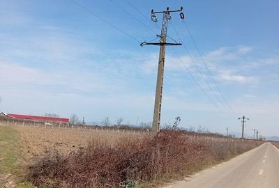 Spațiu comercial, în Apa - 5