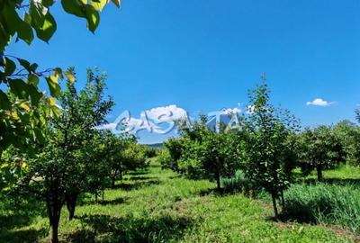 Casă individuală cu 4 camere cu Teren 4037 Mp în Samarinești - 9