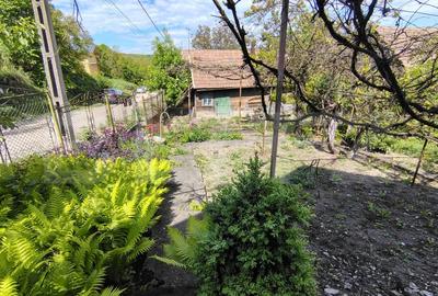 Casă individuală cu 3 camere cu Teren 1513 Mp în Cojocna - 20