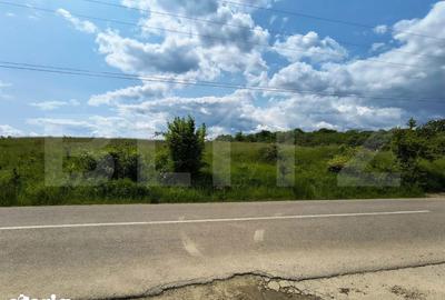 Teren de 5000 mp, în Teișani - 6