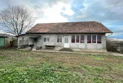 Casă cu 3 camere cu Teren 2700 Mp în Uioara de Sus - 5