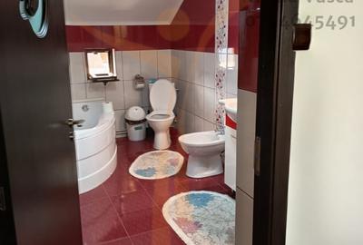 Casa ideala pentru familia ta - Valea Voievozilor, Razvad - 21