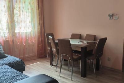 Apartament cu 2 camere semidecomandat în Horea - 3