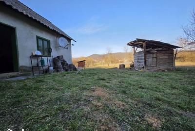 Casă cu 4 camere cu Teren 1887 Mp în Burjuc - 18