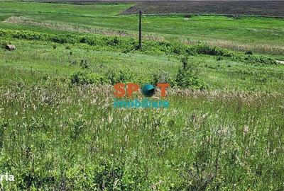 Spațiu comercial, în Vișea - 4