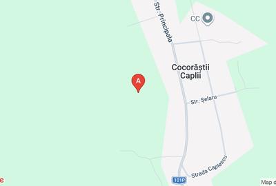 Teren extravilan de 3100 mp, în Măgureni - 1