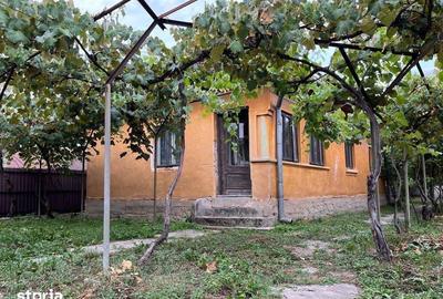 Casă cu 3 camere cu Teren 1773 Mp în Central - 1