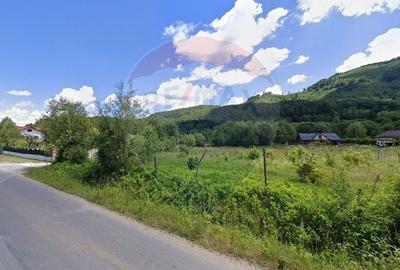 Teren 1600 mp cu proiect & autorizatie, Chalet Duplex Rasnov Glajerie - 3