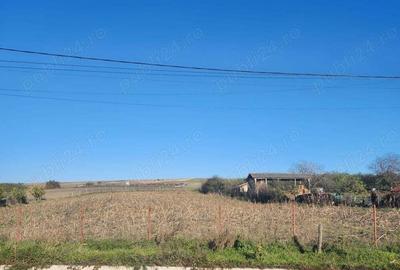 Teren de 2618 mp, în Portari - 1