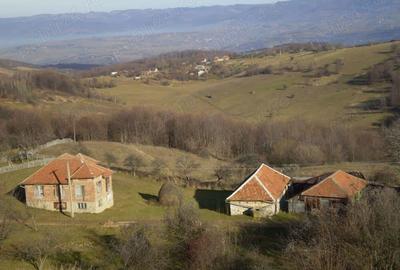 Casă cu 6 camere cu Teren 1200 Mp în Damiș - 4