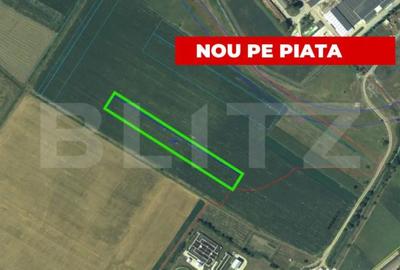 Teren de 9512 mp, în Partoș - 1
