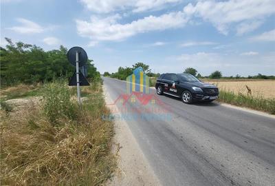 Vanzare teren Mihai Voda Bolintin Deal - 4