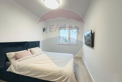 Apartament cu 2 camere semidecomandat, mobilat în Aradului - 6