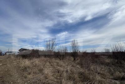 Teren extravilan de vanzare, 15.000 mp, zona Narcise II - 1