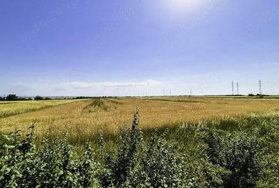 Teren de 75000 mp, în Costești