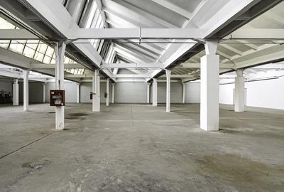 Hala Industriala de inchiriat 1.174 mp cu rampa egalizatoare, Arad - 3