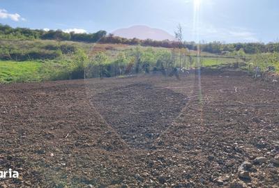 Teren de 1200 mp, în Iorga - 4