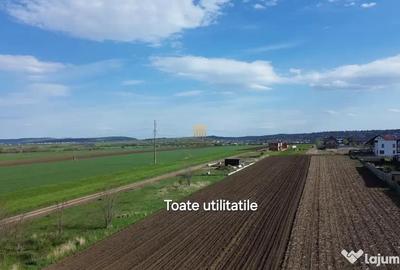 Teren în Tișăuți - 7